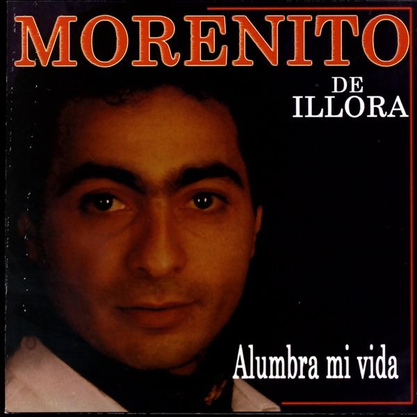 No Puedo Volar