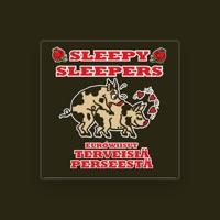 Sleepy Sleepers