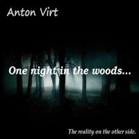 Anton Virt - One night in the woods