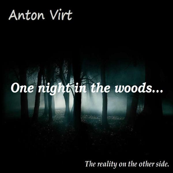Anton Virt - One night in the woods