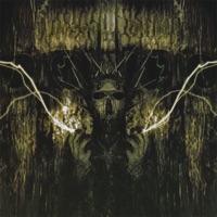 The Transmission