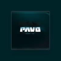 Pavo
