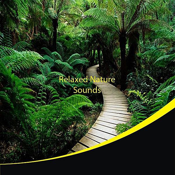 Relaxed Nature Sounds
