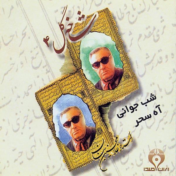 Shab-e-Javani