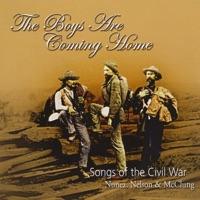 When Johnny Comes Marching Home