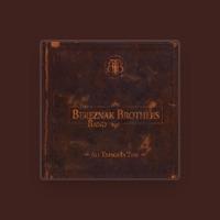 The Bereznak Brothers Band