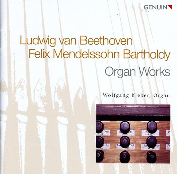 Organ Sonata In D Major, Op. 65, No. 5: I. Andante