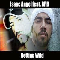 Getting Wild (Amos Mix)