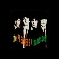 The Pleasers