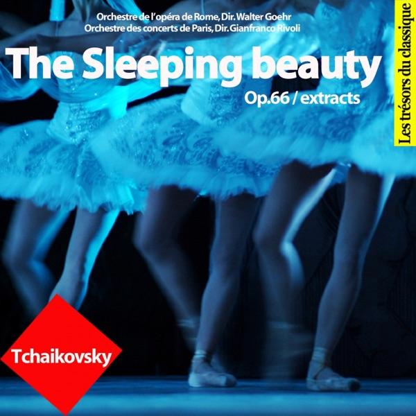 The Sleeping Beauty, Op. 66 : Act I - No. 6 Valse