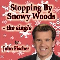 Stopping By Snowy Woods