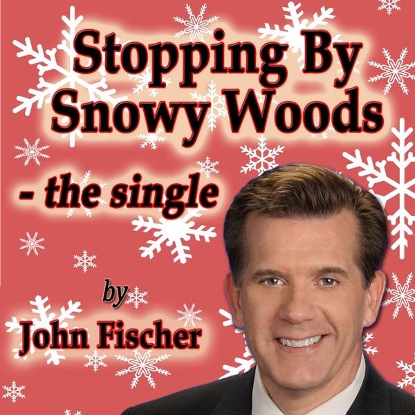 Stopping By Snowy Woods