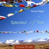 Himalayan Journey
