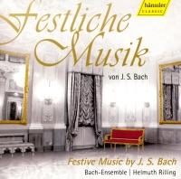 Wir Müssen Durch Viel Trübsal , BWV 146: I. Sinfonia In D Minor: Wir Mussen Durch Viel Trubsal, BWV 146: I. Sinfonia In D Minor