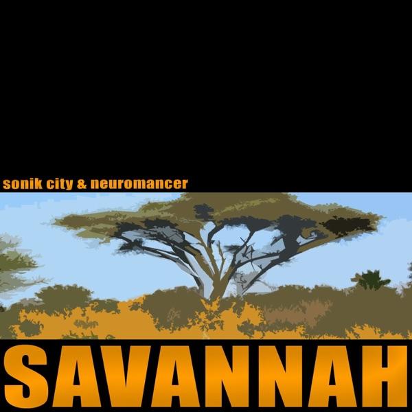 Savannah (Fruits Of Baobab Remix)