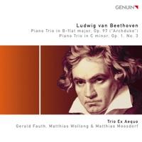 Piano Trio No. 3 in C Minor, Op. 1, No. 3: IV. Finale. Prestissimo