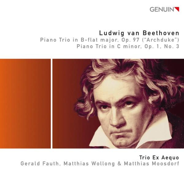 Piano Trio No. 3 in C Minor, Op. 1, No. 3: IV. Finale. Prestissimo