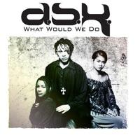 What Would We Do (Steve "Silk" Hurley Remix)