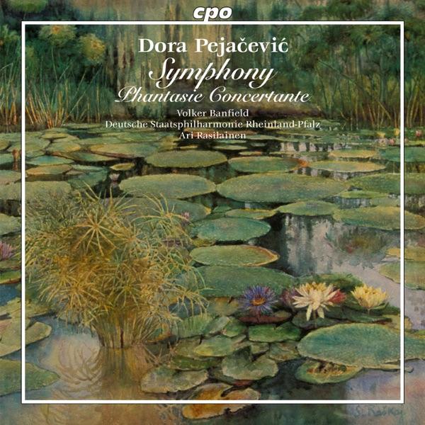 Phantasie concertante in D Minor, Op. 48