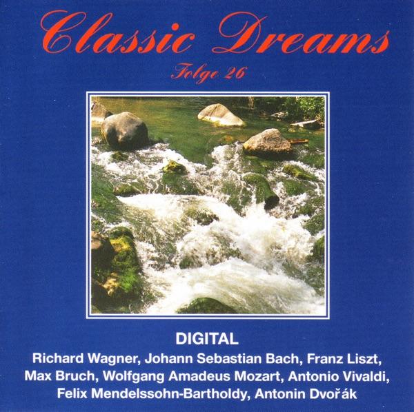 Concerto Per Violino, Archi e Basso Continuo In la Minore, A-Moll, Op. 3/6: II. Largo