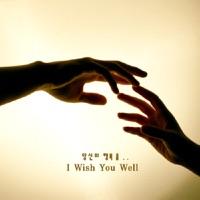 I Wish You Well