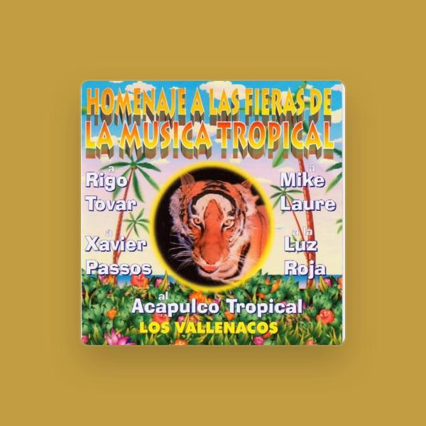 Los Vallenacos