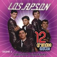 Satisfacción - Satisfaction -