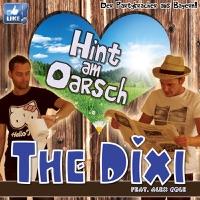 Hint am Oarsch (Radio Mix) [feat. Alex Cole]