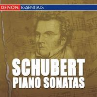 Sonata for Piano In a Minor, D. 537: III. Allegro Vivace