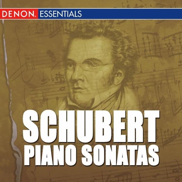 Sonata for Piano In a Minor, D. 537: I. Allegro Ma Non Troppo