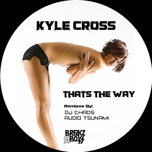 Thats The Way (Audio Tsunami Remix)