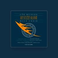 Côr Meibion Mynydd Mawr Male Choir