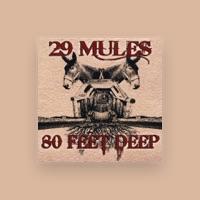 29 Mules