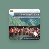 Sacambaya