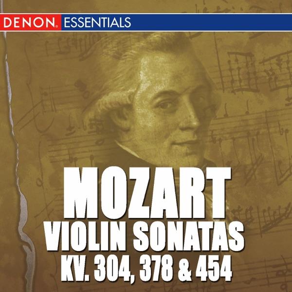 Sonata for Violin & Piano In B-Flat Major, K. 378: I. Allegro Moderato