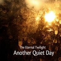 Another Quiet Night (Alternate Ambient Version)