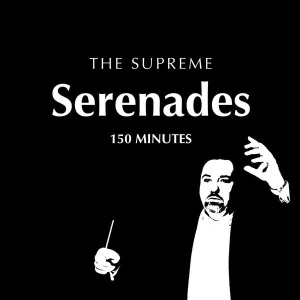 Serenade No. 13, K. 525 in G Major, a Little Night Music: Rondo - Allegro