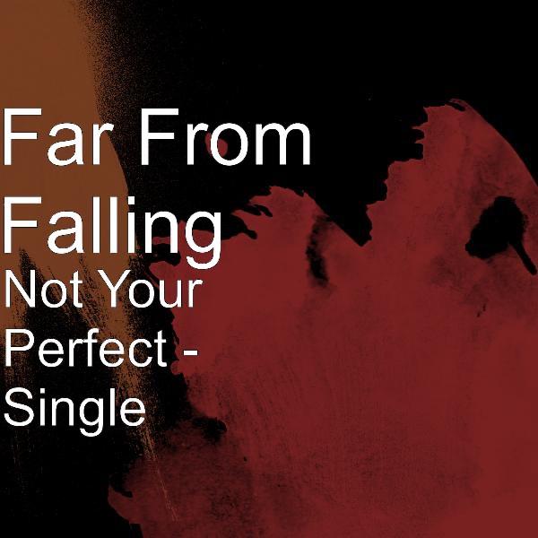 Not Your Perfect