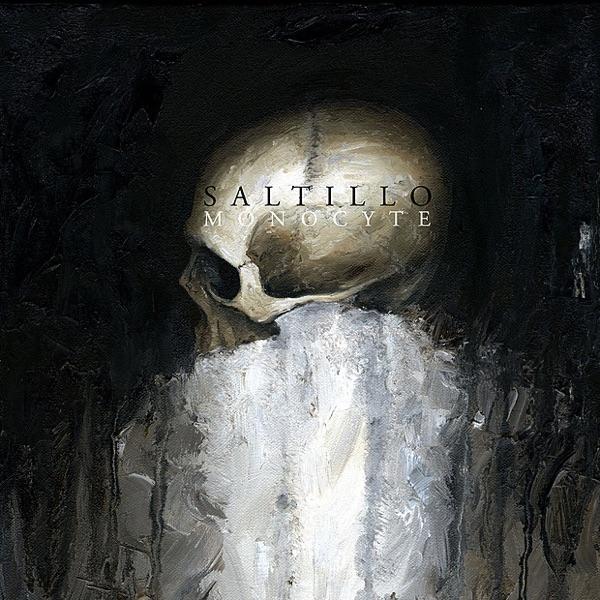 Veil