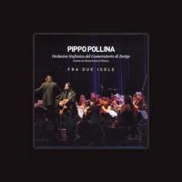 Pippo Pollina