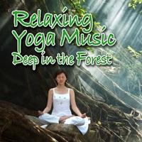 Spiritual Musical Forest - Innocent and Reflective Nature Sound With Music