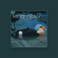 King Eider