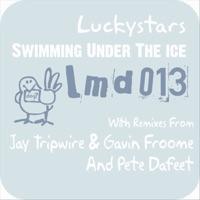 Swimming Under the Ice (Jay Tripwire & Gavin Froome Mix)