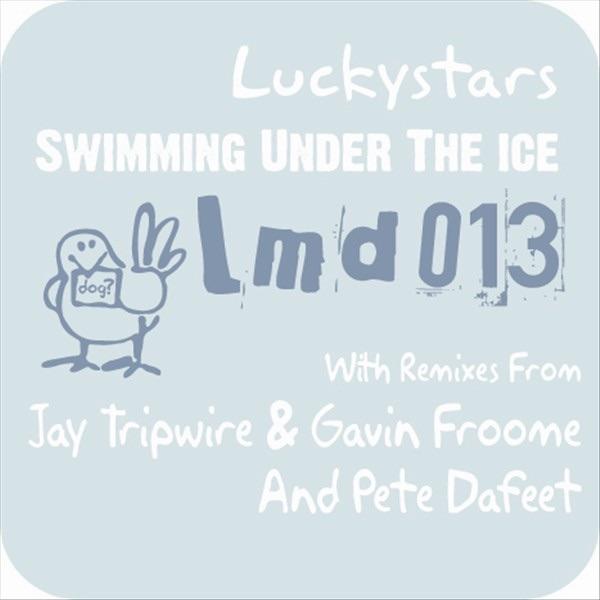 Swimming Under the Ice (Jay Tripwire & Gavin Froome Mix)