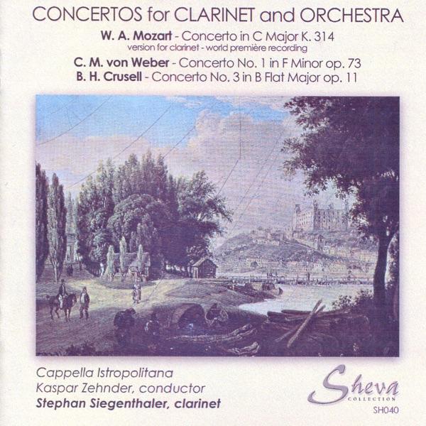 Concerto No. 1 in F Minor, Op. 73: II. Adagio na non troppo