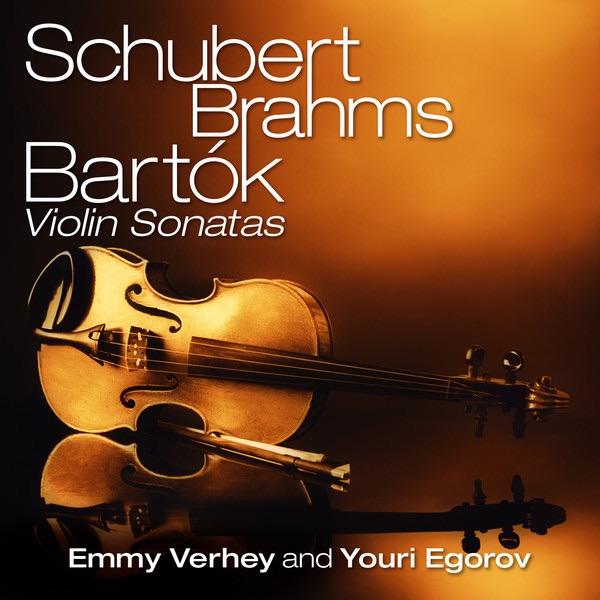 Sonata in A Major for Violin and Piano, D. 574, Op. Posth. 162: I. Allegro moderato