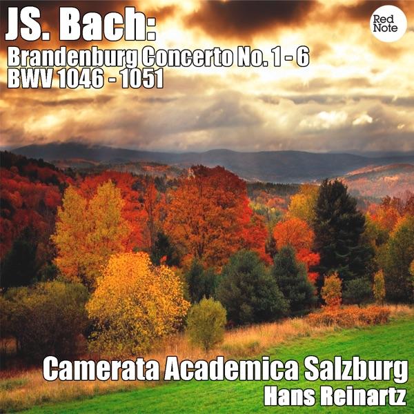 Brandenburg Concerto No. 4 in G major, BWV 1049: I. Allegro