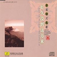 Village Fair (Gan Chang)