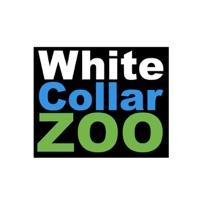 White Collar Zoo (feat. The Money)