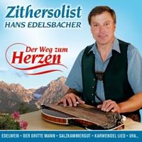 Der dritte Mann (Polkaswing)